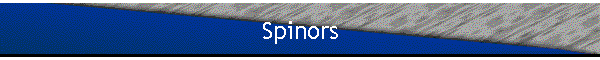 Spinors