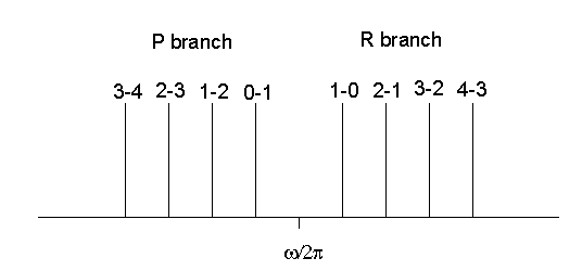 branch.gif (3207 bytes)
